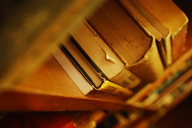 多読苦戦中も、ようやく読書加速度の法則か！？